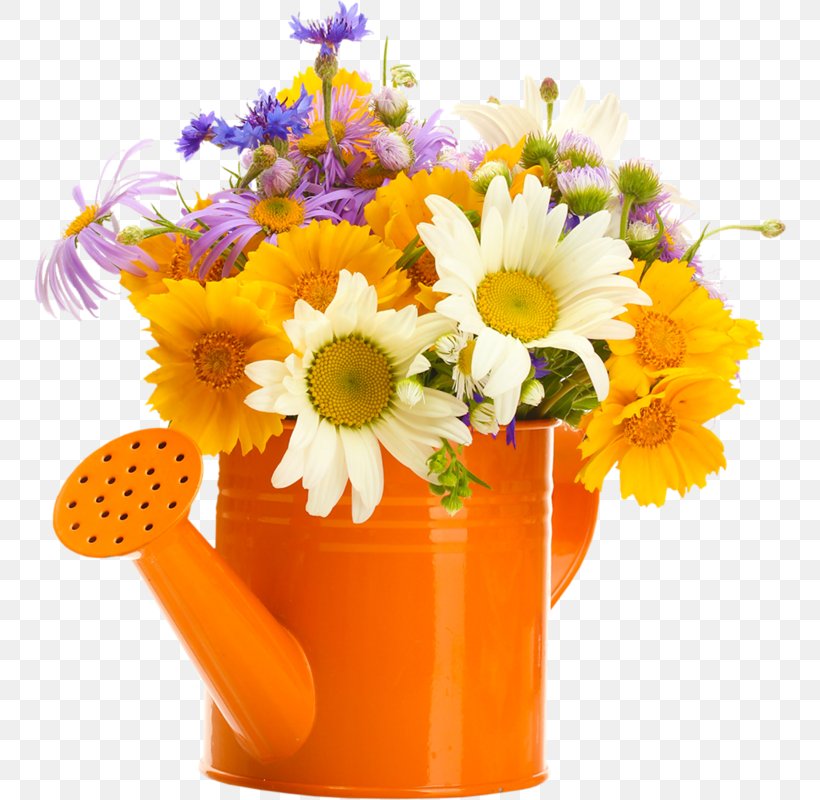 Flower, PNG, 752x800px, Flower, Artificial Flower, Calendula, Cut Flowers, Floral Design Download Free