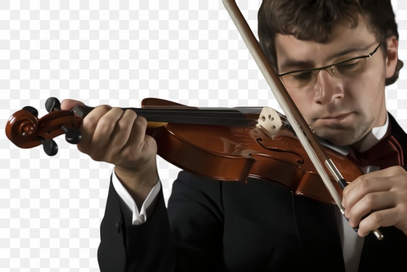 Violist Violinist Violin Viola Fiddle, PNG, 2444x1636px, Violist, Bowed String Instrument, Fiddle, Music, Musical Instrument Download Free
