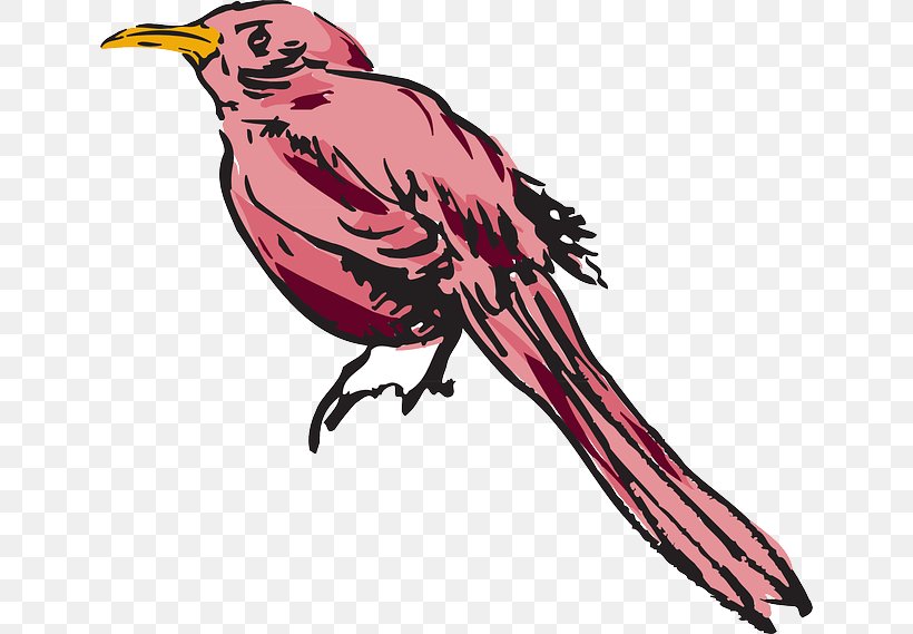 Bird Feather Wing Clip Art, PNG, 640x569px, Bird, Art, Artwork, Beak, Color Download Free