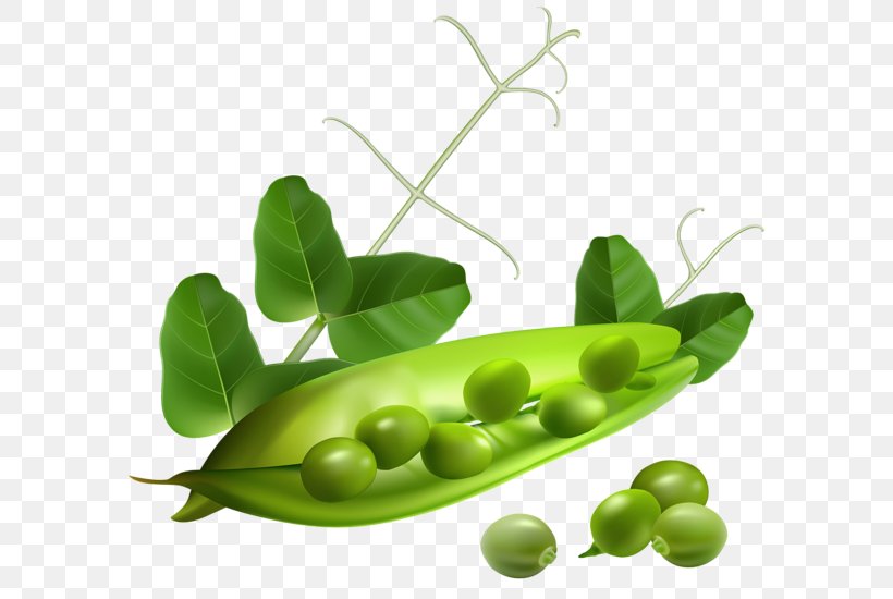 Pea Pod Clip Art, PNG, 600x550px, Pea, Bean, Commodity, Document, Food Download Free