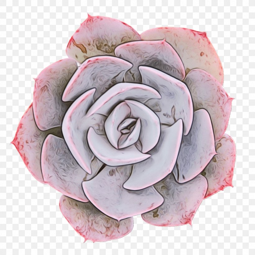 Pink Flower Cartoon, PNG, 1024x1024px, Garden Roses, Cabbage Rose, Camellia, Cut Flowers, Echeveria Download Free