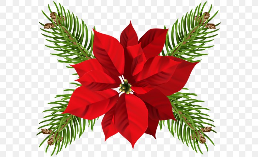 Poinsettia Flower Christmas Clip Art, PNG, 600x500px, Poinsettia, Art, Candle, Christmas, Christmas Decoration Download Free