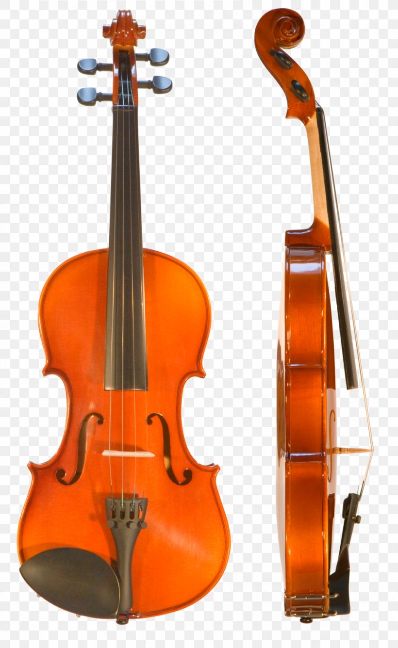 Stradivarius Cremona Violin Amati Cello, PNG, 1068x1741px, Stradivarius, Amati, Antonio Stradivari, Baroque Violin, Bass Violin Download Free