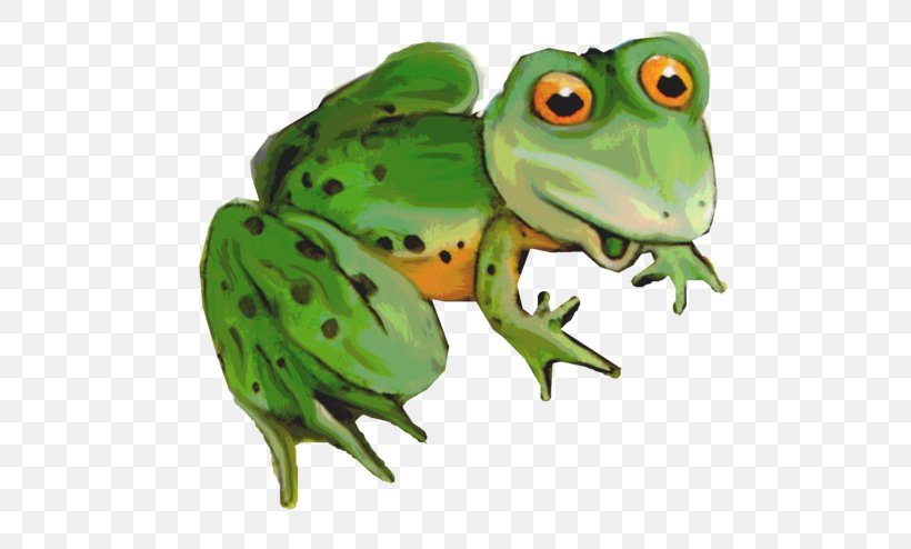 American Bullfrog Toad Amphibians Le Prince Grenouille, PNG, 600x494px, American Bullfrog, Agalychnis, American Water Frogs, Amphibian, Amphibians Download Free