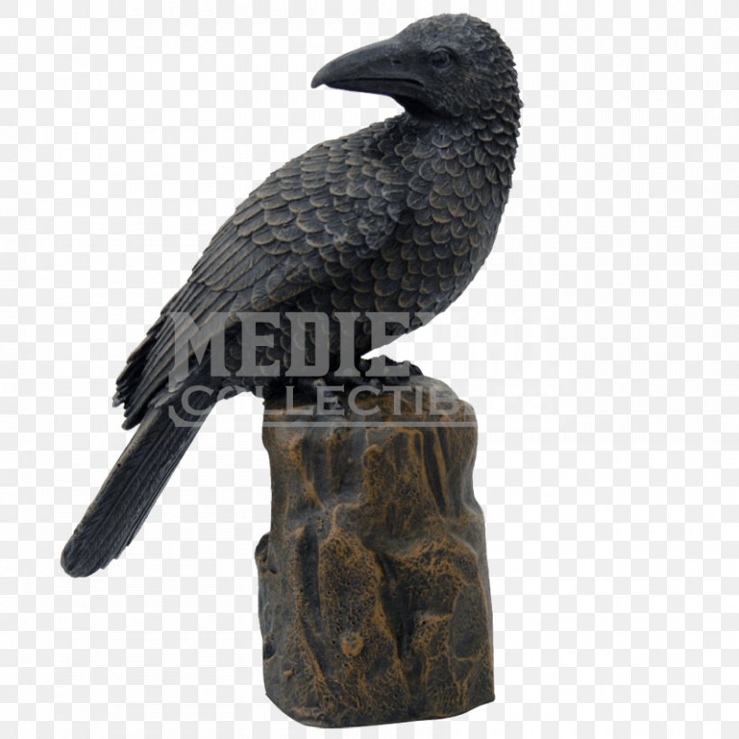 American Crow Bird New Caledonian Crow Bronze Sculpture Raven, PNG, 850x850px, American Crow, Beak, Bird, Bronze Sculpture, Crow Download Free