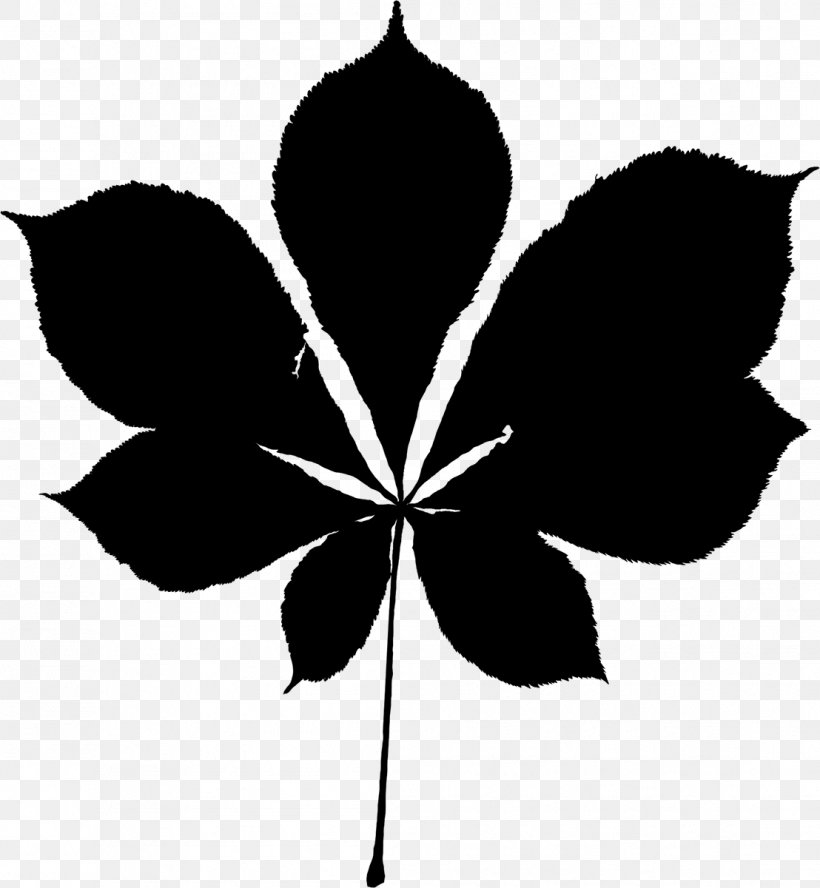 Black & White, PNG, 1108x1200px, Black White M, Blackandwhite, Botany, Flower, Flowering Plant Download Free