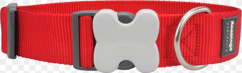 Dog Collar Dingo Martingale, PNG, 3000x909px, Dog, Audio, Brand, Clothing Accessories, Collar Download Free