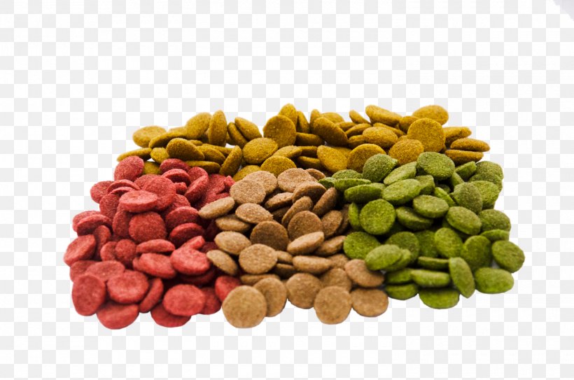 Food Coloring Snack Mixed Nuts Pistachio, PNG, 1500x994px, Food Coloring, Bean, Cat Food, Color, Commodity Download Free