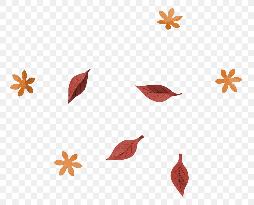 Vector Graphics Image Illustration Royalty-free Photograph, PNG, 800x660px, Royaltyfree, Christmas Day, Flower, Istock, Leaf Download Free