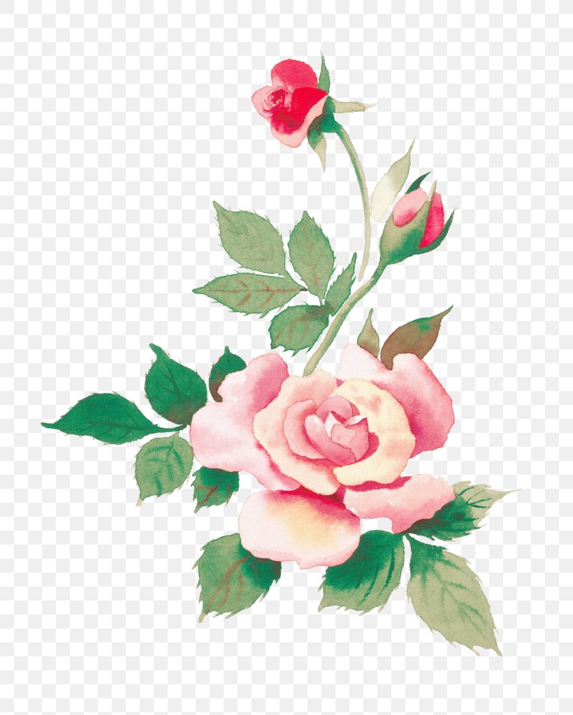 Beach Rose Flower Watercolor Painting Pink, PNG, 724x1024px, Beach Rose, Artificial Flower, Cut Flowers, Floral Design, Floristry Download Free