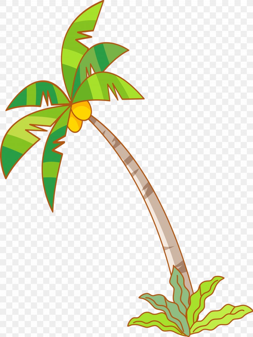 Coconut, PNG, 2717x3621px, Coconut, Branch, Coco, Drawing, Flora Download Free