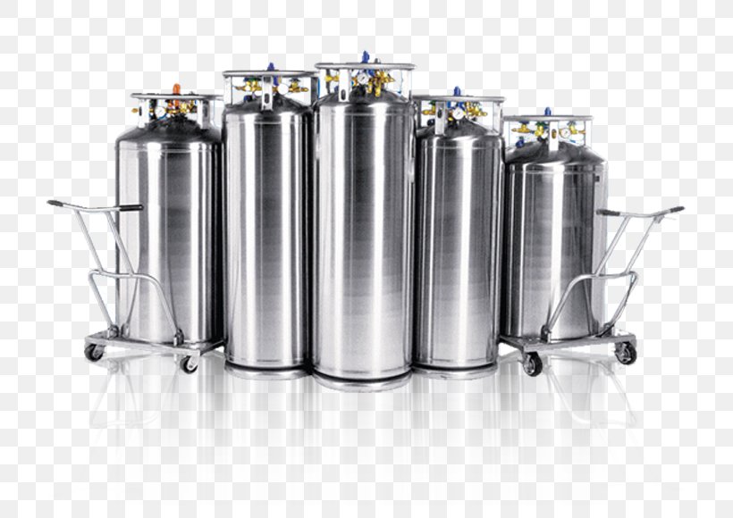 Liquid Nitrogen Cryogenic Storage Dewar Cryogenics Gas Cylinder, PNG, 715x580px, Liquid Nitrogen, Cryogenics, Cylinder, Gas, James Dewar Download Free