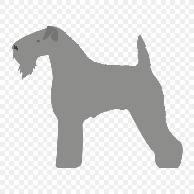Miniature Schnauzer Lakeland Terrier Dog Breed Kerry Blue Terrier, PNG, 1000x1000px, Miniature Schnauzer, Breed, Canis, Carnivoran, County Kerry Download Free