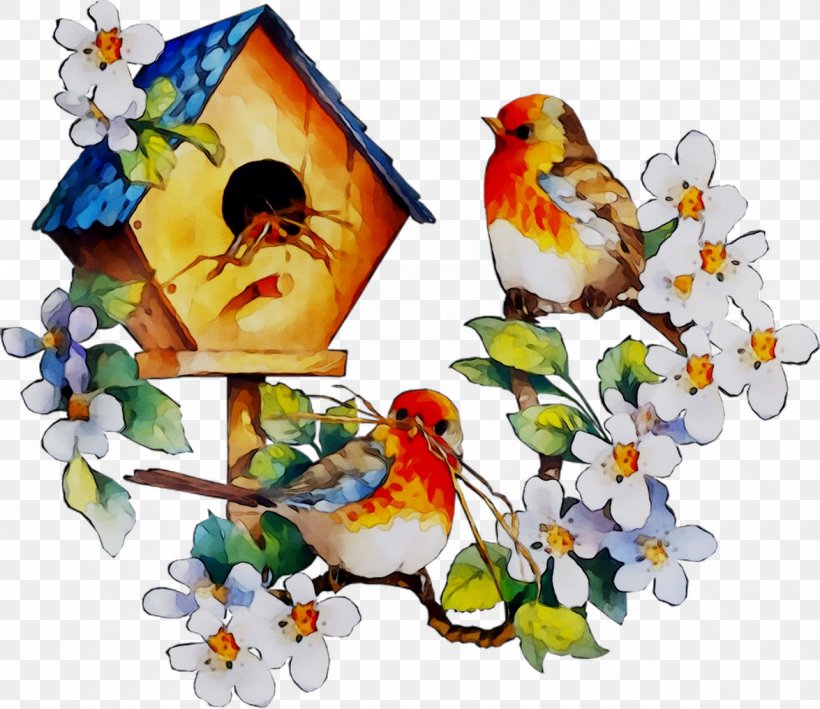 Bird GIF Pupil Gfycat Lesson, PNG, 1175x1016px, Bird, Animal, Beak, Bluebird, Branch Download Free