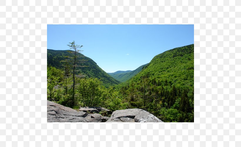 Crawford Notch Campground Mountain Pass New Hampshire Division Of Parks And Recreation New Hampshire State Parks, PNG, 500x500px, Mountain Pass, Biome, Elephant Head, Escarpment, Fell Download Free