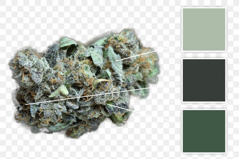 Mineral Medical Cannabis Infographic Documentation, PNG, 970x647px, Mineral, Camouflage, Cannabis, Documentation, Election Download Free