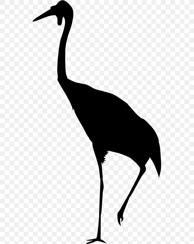 Water Bird Neck Beak Clip Art, PNG, 543x1032px, Bird, Beak, Black And White, Crane, Crane Like Bird Download Free