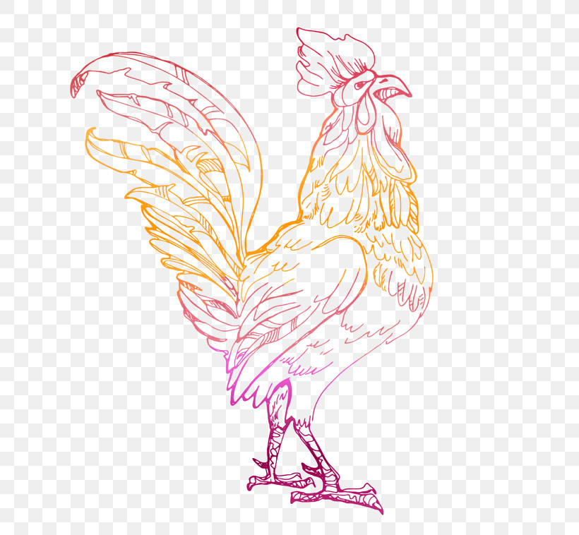 Chicken Rooster Bird Comb Beak, PNG, 724x758px, Chicken, Beak, Bird, Comb, Livestock Download Free