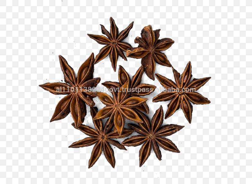 Five-spice Powder Curry Chinese Cuisine Star Anise, PNG, 600x600px, Fivespice Powder, Anise, Chinese Cuisine, Cinnamon, Condiment Download Free