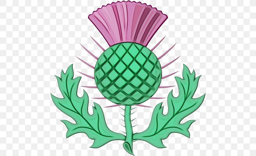 Green Thistle Leaf Plant Clip Art, PNG, 500x500px, Watercolor, Artichoke, Flower, Green, Leaf Download Free