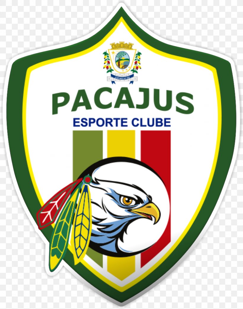 Pacajus Esporte Clube Associação Nova Russas Esporte Clube Tianguá, PNG, 835x1062px, Shield, Area, Brand, Emblem, Label Download Free