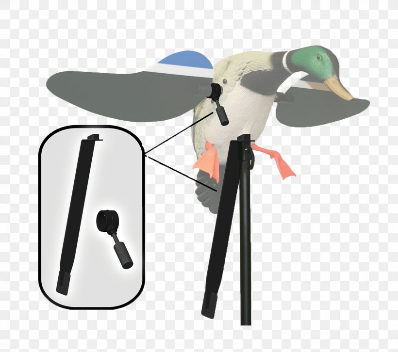 United States Decoy Firearm Duck Amazon.com, PNG, 1600x1417px, Watercolor, Cartoon, Flower, Frame, Heart Download Free