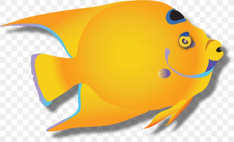 Yellow Corporate Identity Logo Marine Biology Orange, PNG, 838x510px, Yellow, Angelfish, Autumn Leaf Color, Beak, Color Download Free