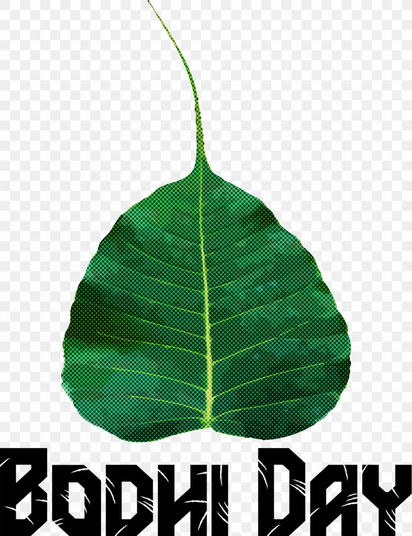 Bodhi Day, PNG, 2304x3000px, Bodhi Day, Biology, Leaf, Meter, Plant Structure Download Free