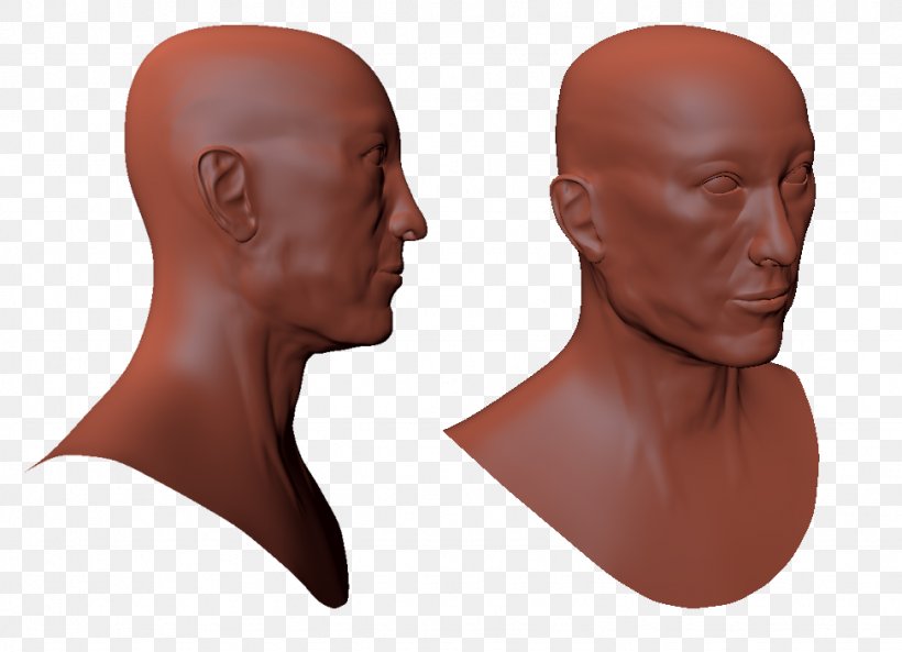 Chin Friagram Head And Neck Anatomy Cheek Forehead, PNG, 973x704px, Chin, Arm, Cartoon, Cheek, Face Download Free