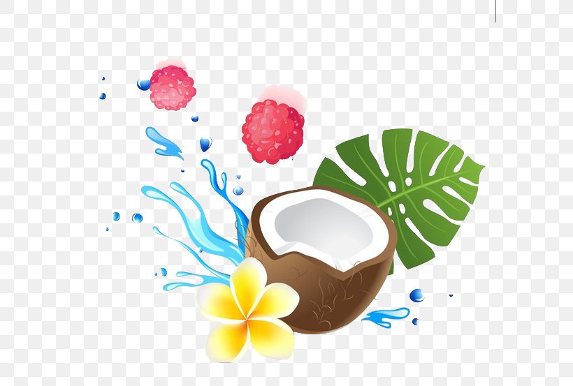 Coconut Milk Coconut Water Coconut Oil Health, PNG, 600x553px, Coconut Milk, Coconut, Coconut Oil, Coconut Sugar, Coconut Water Download Free