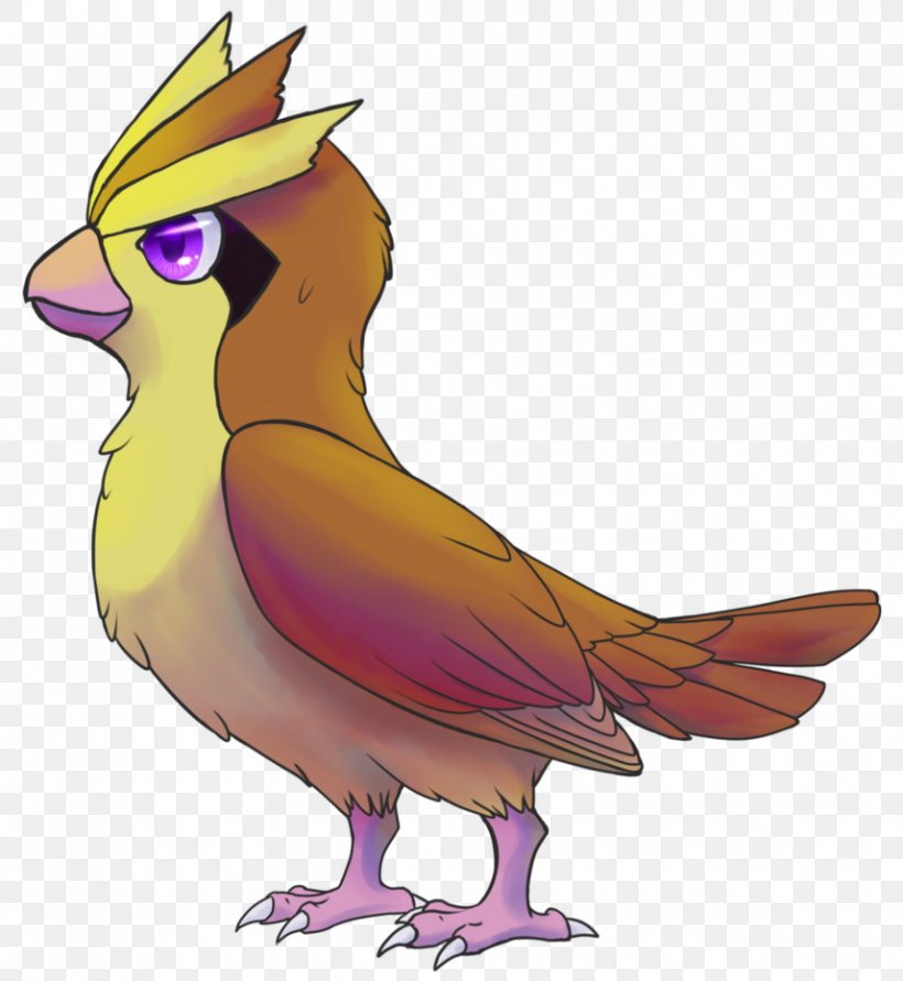Rooster Feather Beak Clip Art, PNG, 857x932px, Rooster, Art, Beak, Bird, Cartoon Download Free