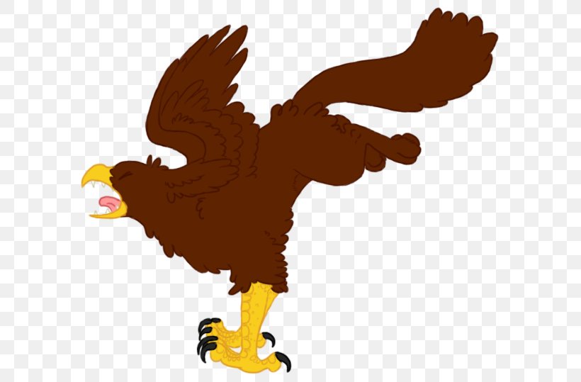 Bald Eagle Beak Clip Art, PNG, 613x539px, Eagle, Americans, Bald Eagle, Beak, Bird Download Free