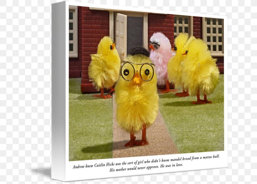 Gallery Wrap Canvas Art Beak Chicken As Food, PNG, 650x588px, Gallery Wrap, Art, Beak, Canvas, Chicken Download Free