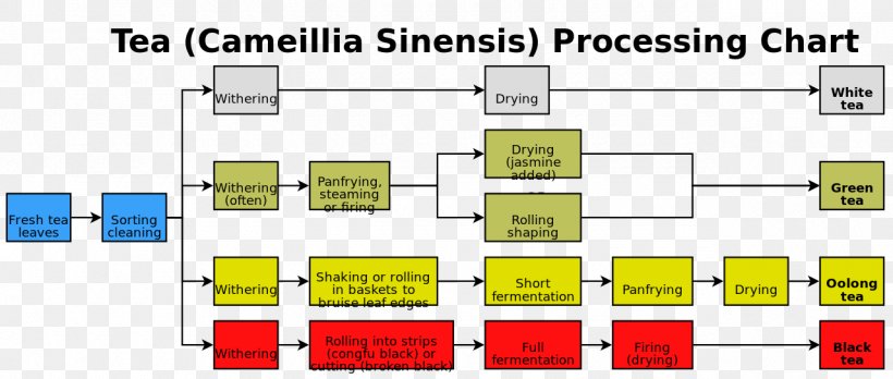 Green Tea Tea Processing Dim Sum Tea Plant, PNG, 1280x544px, Tea, Area, Black Tea, Brand, Communication Download Free