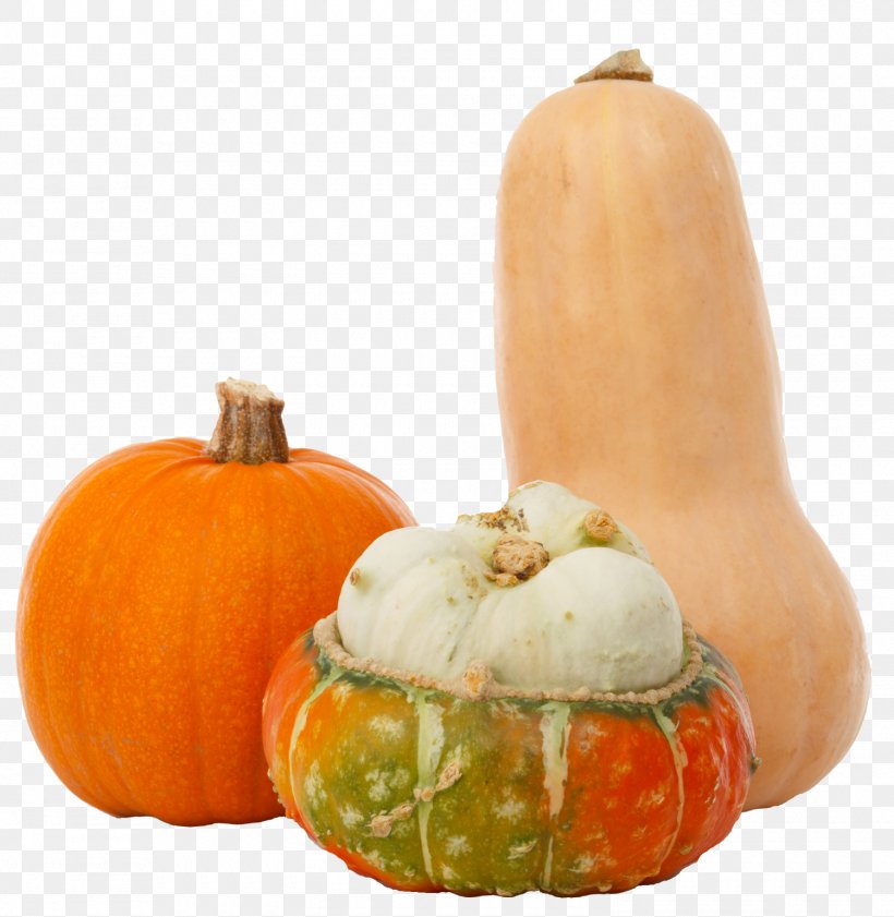 Pumpkin Gourd Vegetarian Cuisine Winter Squash Autumn, PNG, 1500x1539px, Pumpkin, Autumn, Autumn Leaf Color, Butternut Squash, Calabaza Download Free