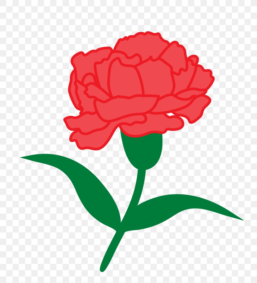 Garden Roses Student Phi Alpha Delta Law Fraternity, PNG, 734x901px, Garden Roses, Artwork, Carnation, Cut Flowers, Fellow Download Free