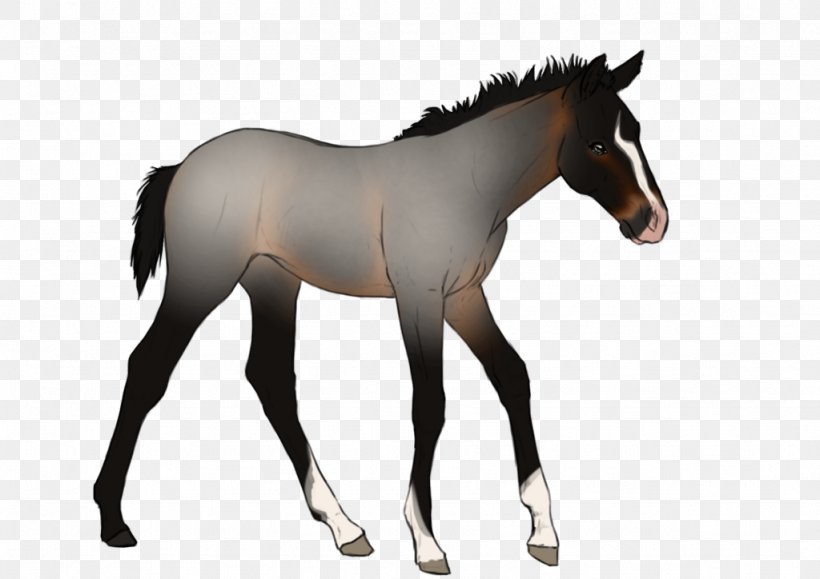 Mane Mustang Foal Stallion Colt, PNG, 1024x724px, Mane, Bridle, Colt, Foal, Halter Download Free