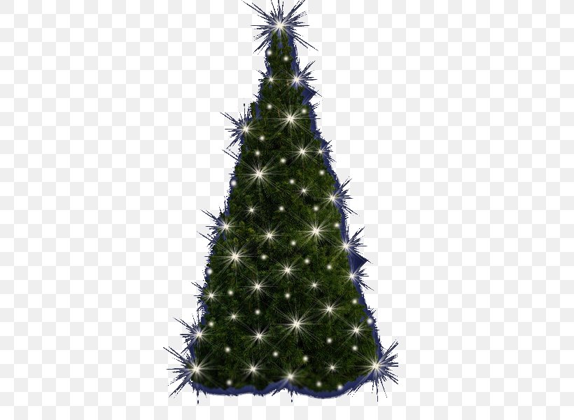 Christmas Tree Spruce Christmas Ornament Fir Pine, PNG, 353x600px, Christmas Tree, Christmas, Christmas Decoration, Christmas Ornament, Conifer Download Free