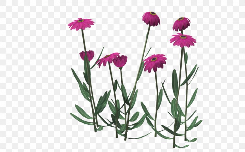 Chrysanthemum Indicum Euclidean Vector Floral Design, PNG, 1024x639px, Chrysanthemum Indicum, Chrysanthemum, Color, Cut Flowers, Designer Download Free
