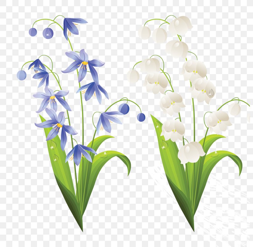Flower Lilium Clip Art, PNG, 800x800px, Flower, Bellflower Family, Branch, Flora, Floral Design Download Free