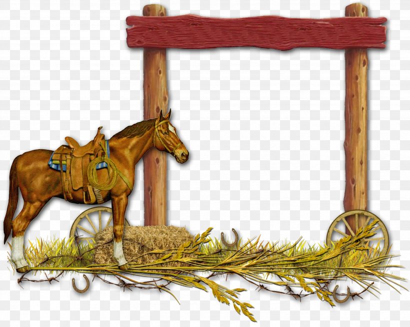 Horse Cowboy Blog Picture Frames, PNG, 3418x2726px, Horse, Blog, Bridle, Chariot, Cowboy Download Free