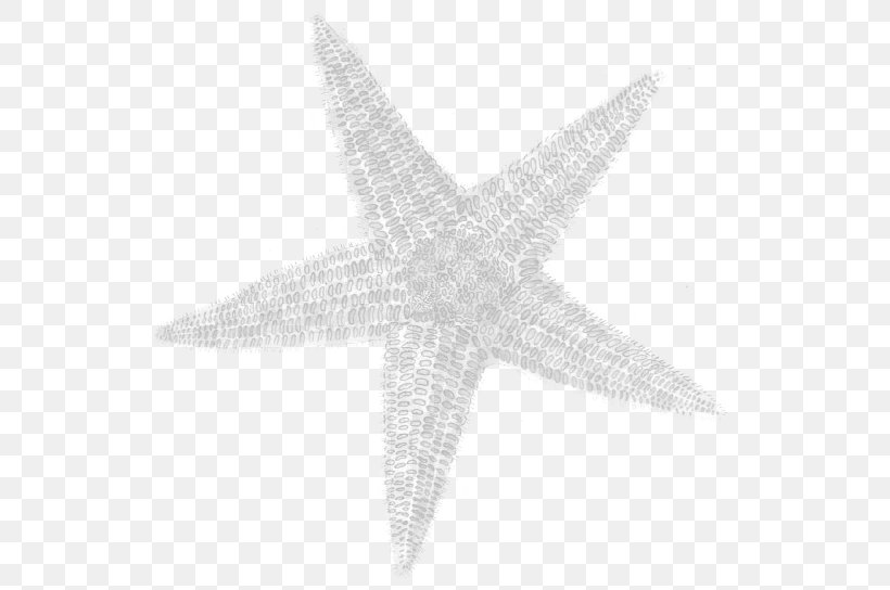 Star Thrower: A Pastor's Handbook Starfish The Star Thrower Paperback, PNG, 545x544px, Starfish, Book, Echinoderm, Invertebrate, Marine Invertebrates Download Free