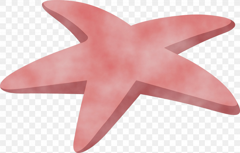 Starfish Pink M, PNG, 3504x2243px, Beach, Paint, Pink M, Starfish, Summer Download Free