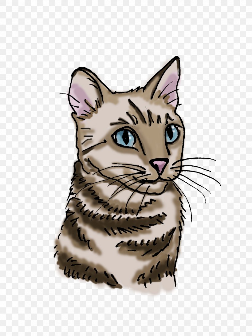 Toyger Bengal Cat Whiskers Tabby Cat Domestic Short-haired Cat, PNG, 2448x3264px, Toyger, Bengal, Bengal Cat, Carnivoran, Cartoon Download Free