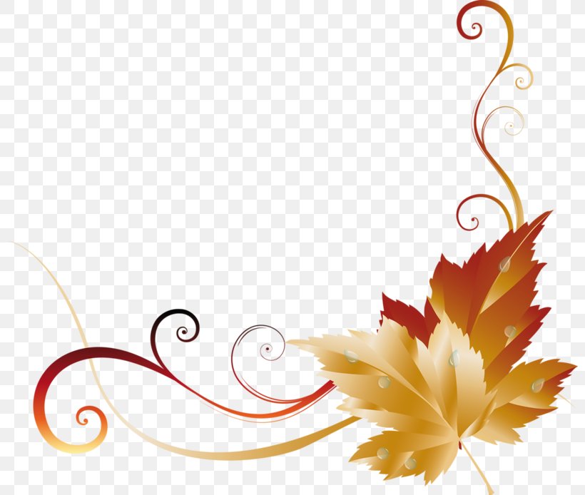 Autumn Leaf Color Clip Art, PNG, 800x694px, Autumn, Autumn Leaf Color, Color, Flora, Floral Design Download Free