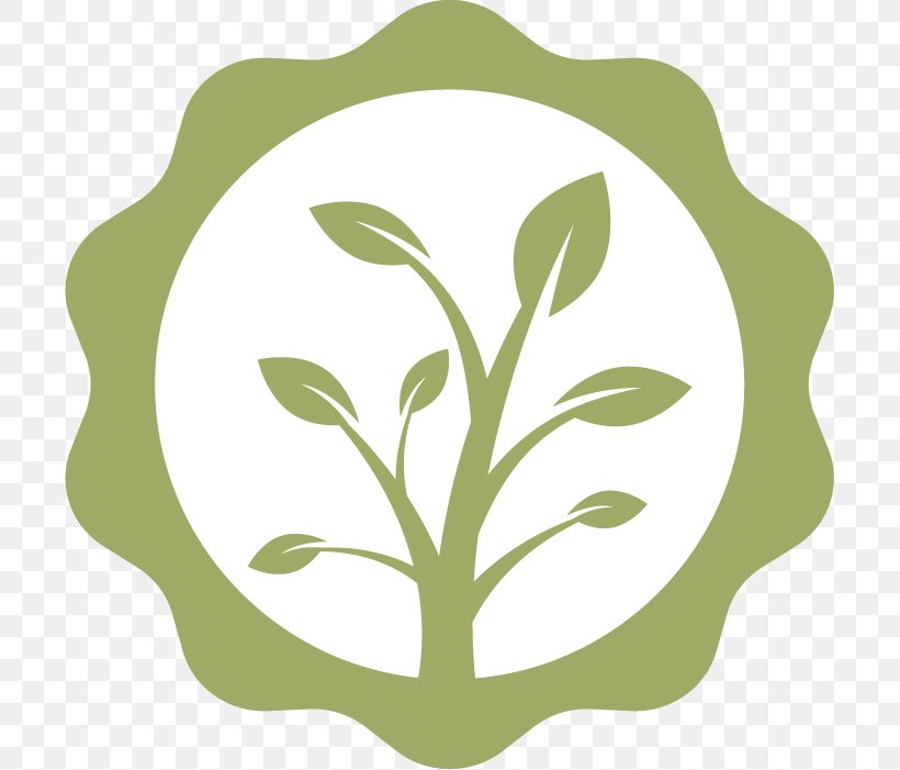 Clip Art Plant Stem Leaf Product Design Flower, PNG, 701x701px, Plant Stem, Branch, Flora, Flower, Food Download Free