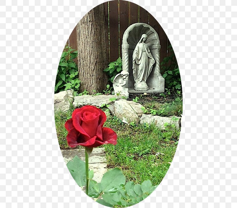 Garden Roses Ave Maria Prayer Mary Garden, PNG, 445x719px, Garden Roses, Ave Maria, Flora, Flower, Flowering Plant Download Free