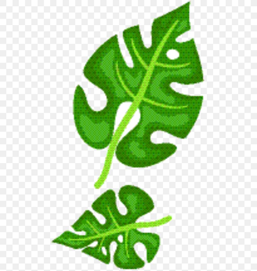 Green Leaf Background, PNG, 505x864px, Leaf, Botany, Green, Meter, Plant Download Free