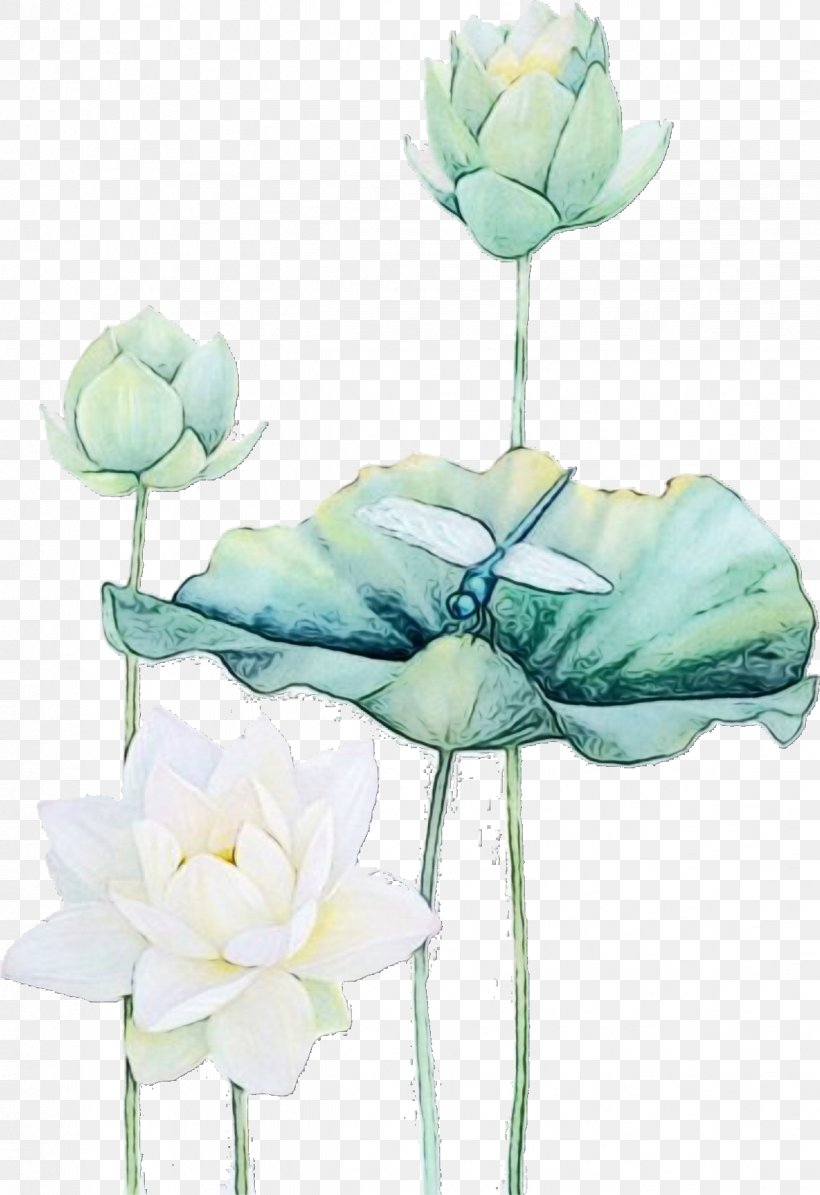 Water Paint Flowers, PNG, 1222x1781px, Watercolor, Aquatic Plant, Artificial Flower, Cabbage Rose, Cut Flowers Download Free