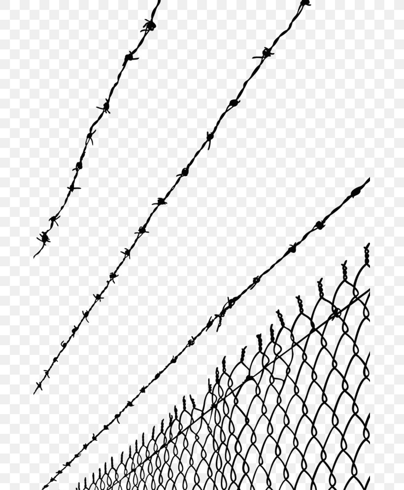 Barbed Wire Fence Stock Photography Barbed Tape, PNG, 683x994px, Barbed Wire, Area, Barbed Tape, Black, Black And White Download Free